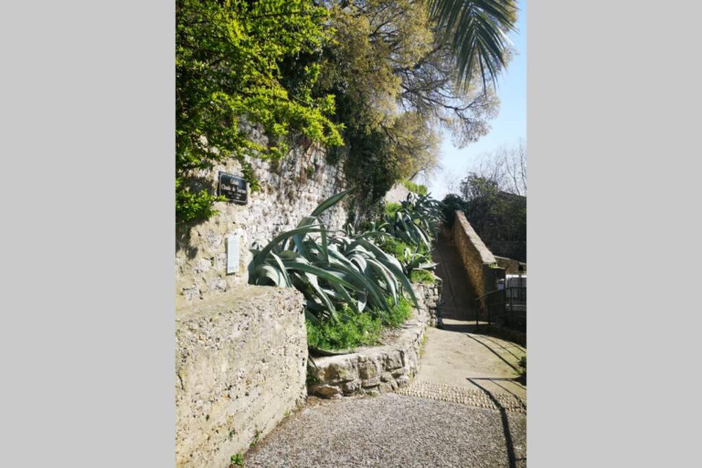 Maison De Village Meublee Avec Terrasse Donzere Bagian luar foto